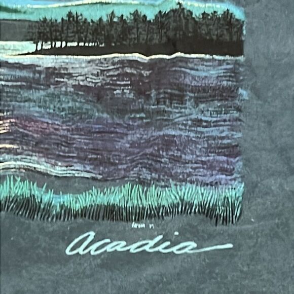 ACADIA NATIONAL PARK VTG t shirt Bar Harbor MAINE Hanes beefy -T Tee Large 1992 - Picture 4 of 11